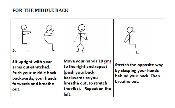 Easy Home Exercises . middlebackworksheet