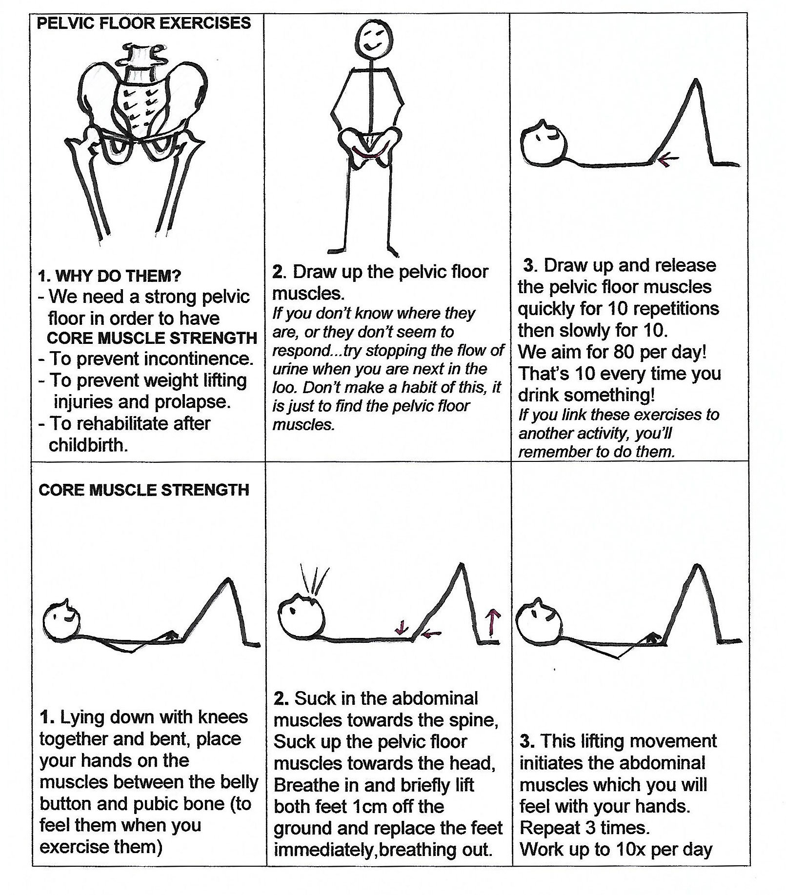 Easy Home Exercises . Pelvic Floor Home Excersize