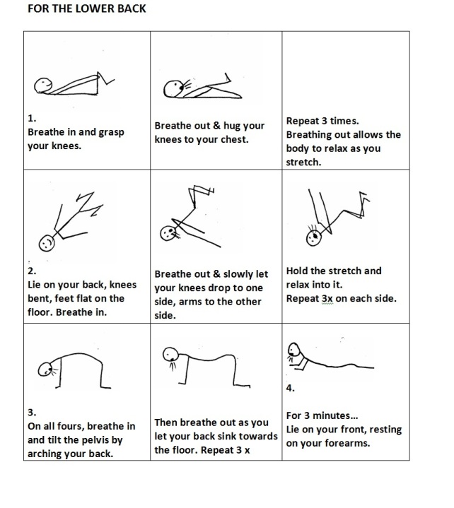 Easy Home Exercises . lowerbacktake2